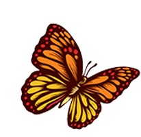 mariposa 3