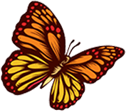 mariposa 3new