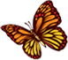 mariposa 4