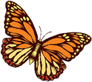 mariposa