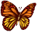 mariposa2