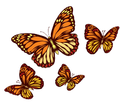 mariposass